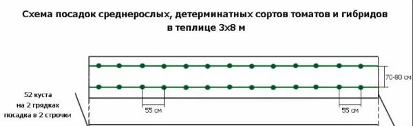 Через какое расстояние сажать помидоры в теплице. Схема высадки томатов в теплице 3. Схема посадки томатов в теплице 3х6 из поликарбоната. Схема посадки помидор в теплице 3х6. Схема посадки томатов в теплице 3 на 6.