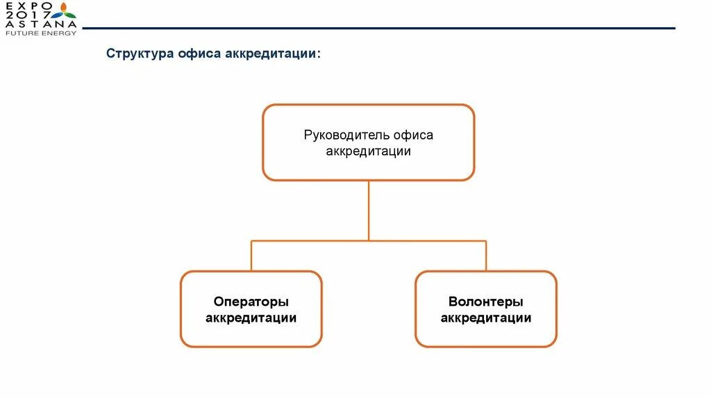 Иерархия волонтеров. Структура добровольческого проекта. Иерархия волонтерских организаций. Основные обязанности волонтера. Структура управления волонтерской организацией.