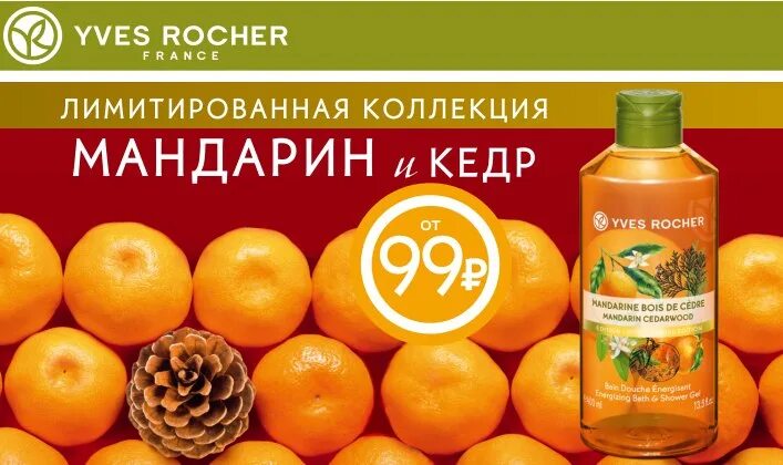 Эллендале мандарин. Мандарин лимон кедр ив роше. Мандарины новый год. Мандарин и кедр. Мандарины на доске.