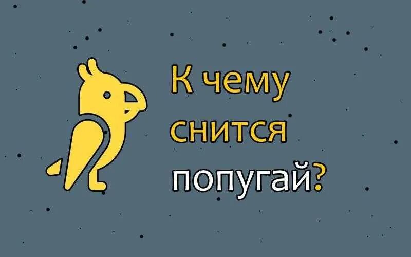 Снится попугай. Закрой рот курица. Что значит сон попугай. Снится попугай. Ара динкджан.