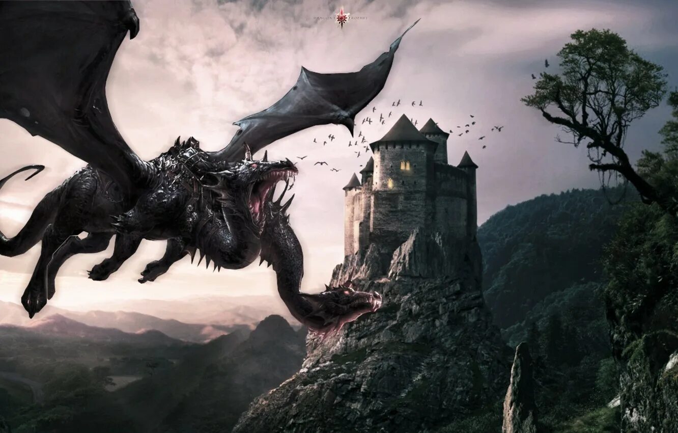 In the castle the dragon s