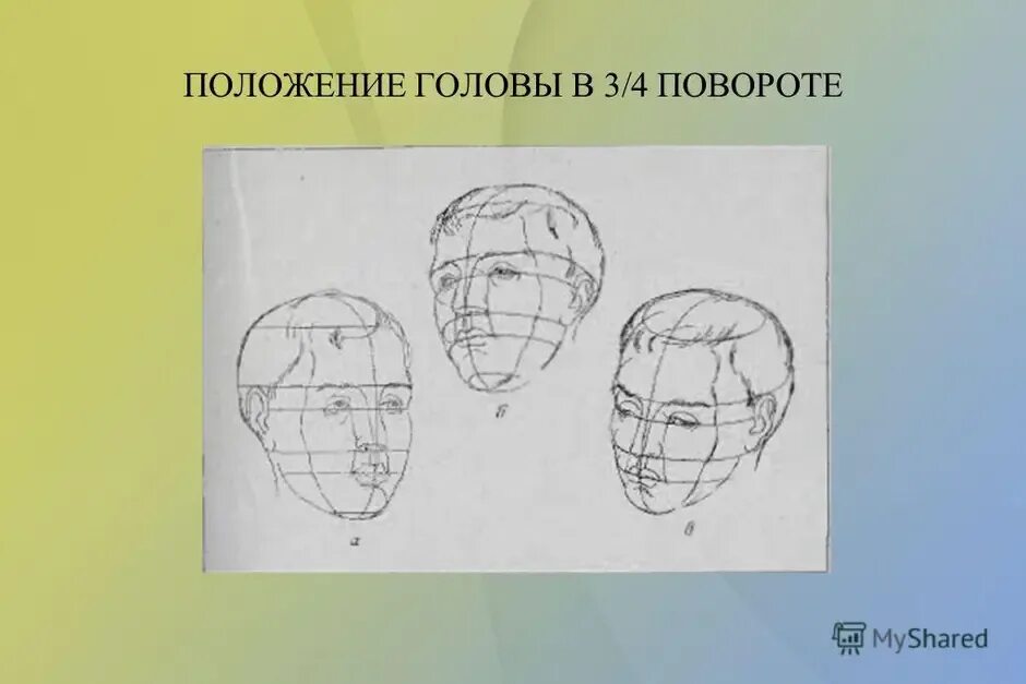 Положение затылка. Положение головы. Голова человека. Рисование головы в 3/4. Конструкция головы человека.