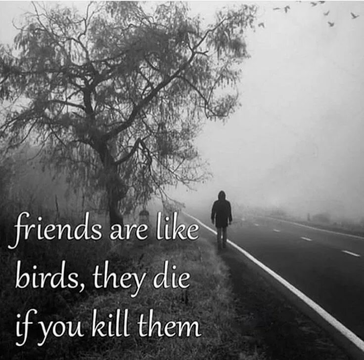 They like birds. Friends like Birds they died when you Killed them. Friends are like Star распечатать.