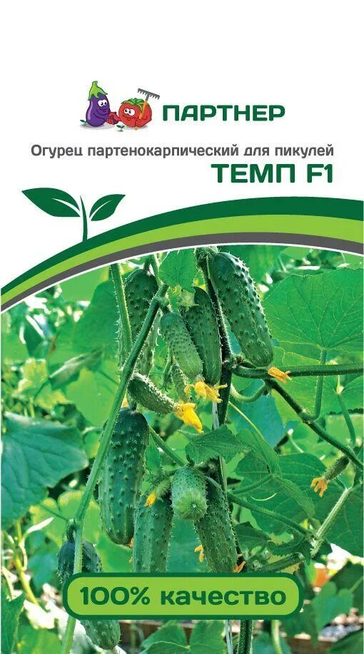 Фирма партнер сорта огурцов. Огурец темп f1 (10 шт) семко. семена огурец солтис f1. партнер огурец солтис f1. огурцы пикули семена.