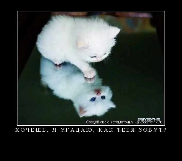 Зови меня как хочешь хорошо оптимус прайм. Имена детей. Называть меня как хочешь. Как тебя называть. Как назвать квест.