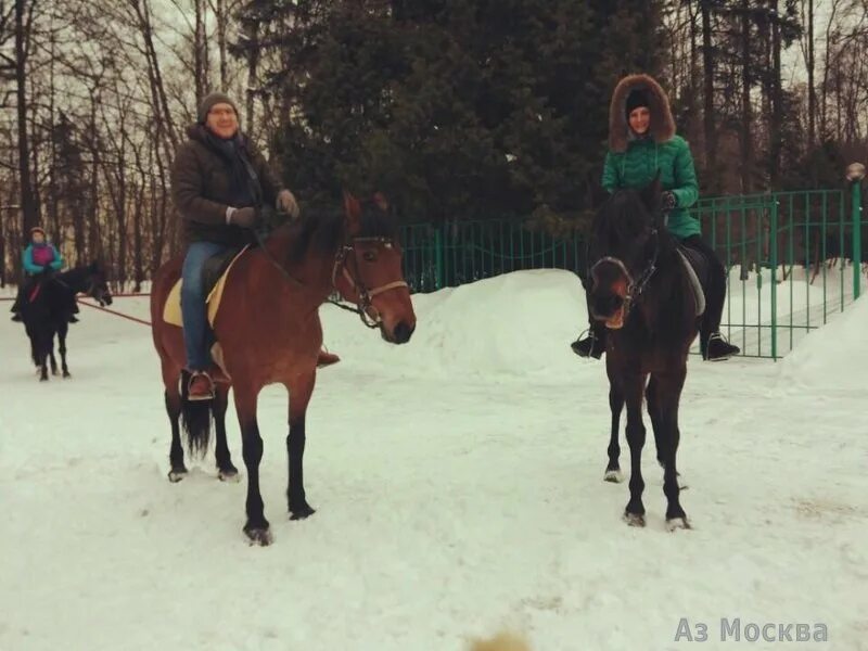 Конный двор москва. Конный центр лосиный остров. Конный двор яуза. Москва улица богатырский мост 17 конный двор яуза. Конюшня терлецкий парк.