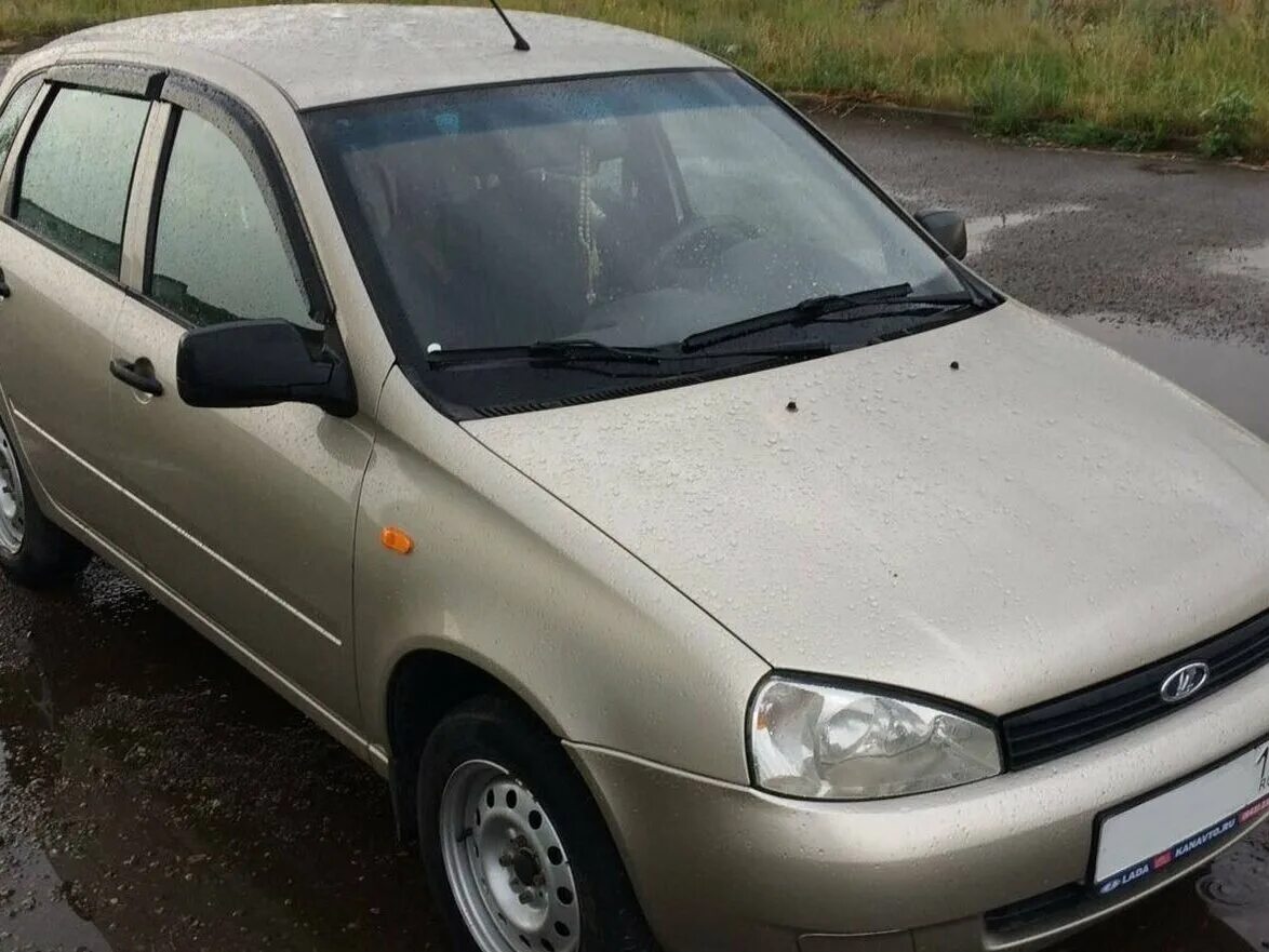 бежевая калина