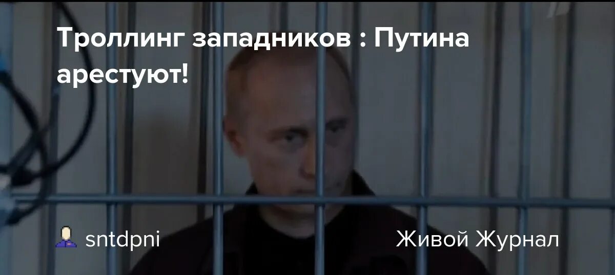 Путина арестовали. Гаага ордер на арест Путина. Арест премьер министра Владимира Путина.