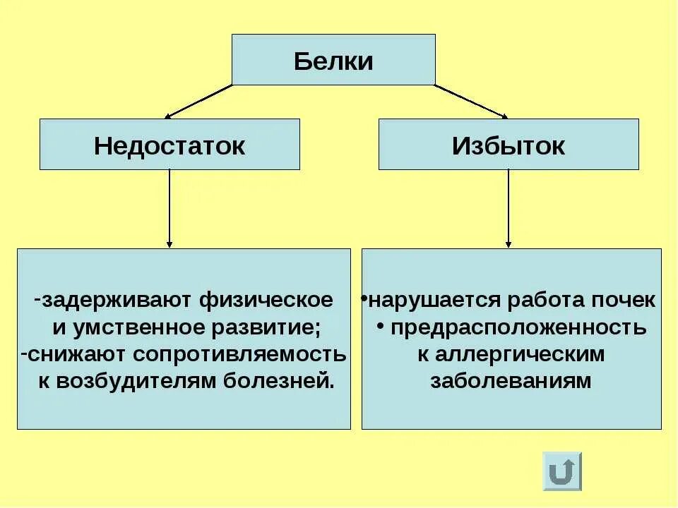 Нарушения белка в организме. Избыток и недостаток белков. При недостатке жиров в организме. Дефицит белка в организме. Переизбыток белка в организме симптомы.