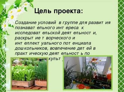 Работает круглый год