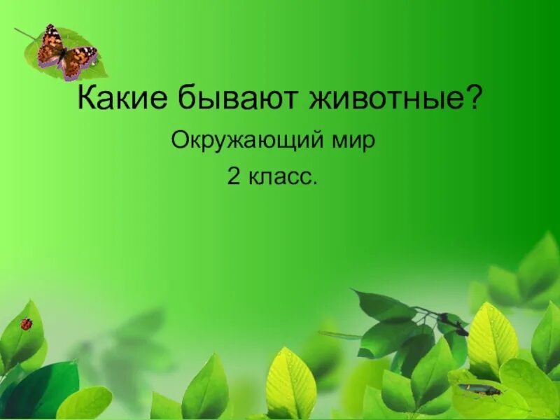 Тест какие бывают животные 2 класс окружающий. Какие бывают животные 2 класс окружающий мир. презентация по теме &quot;какие бывают животные&quot;. окружающий мир 2 класс тема какие бывают животные. урок окружающего мира 2 класс какие бывают животные.