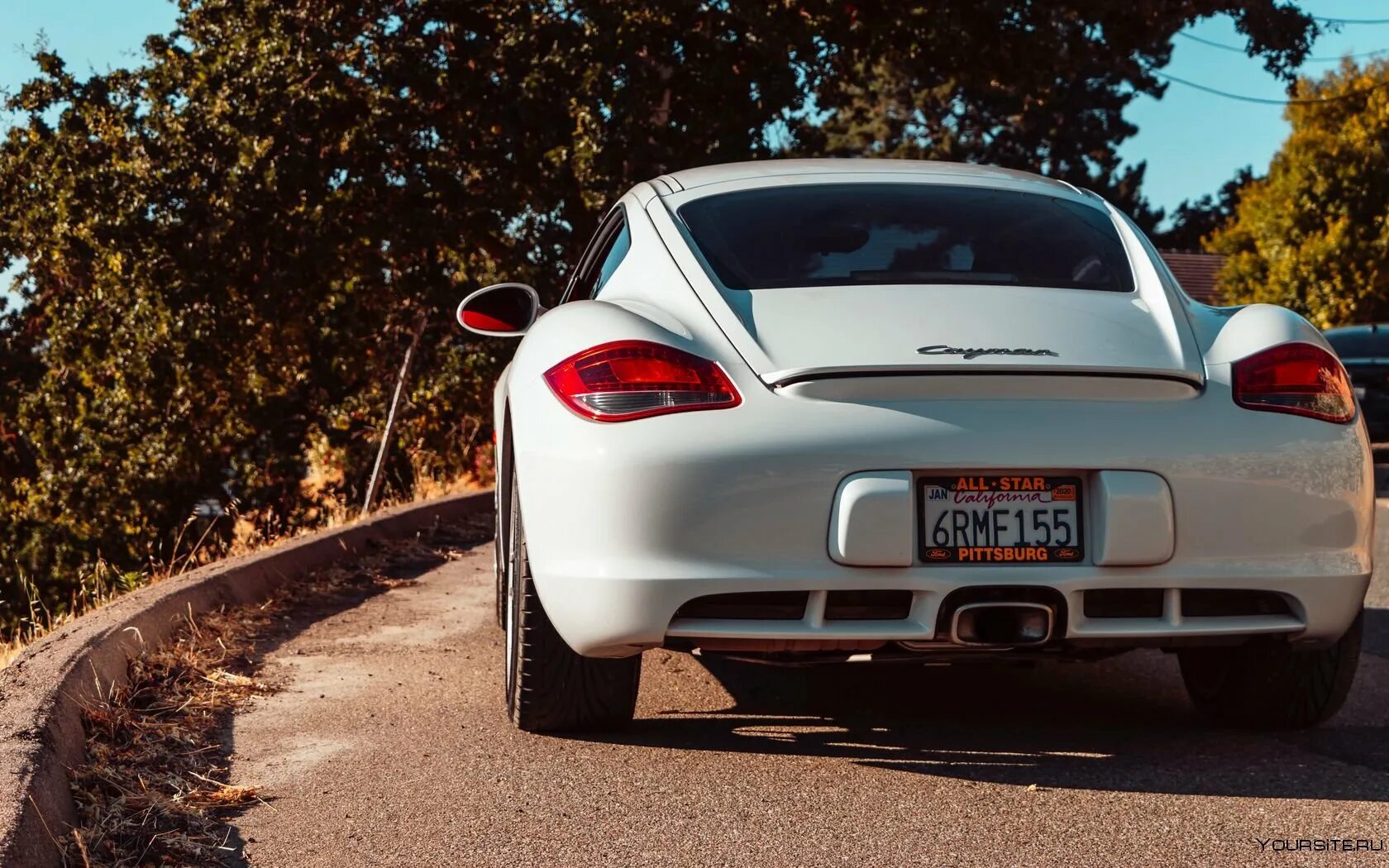 Фото машина задний. Porsche Cayman. Порше Cayman зад. Порше Кайман сзади. Porsche Cayman Rear.