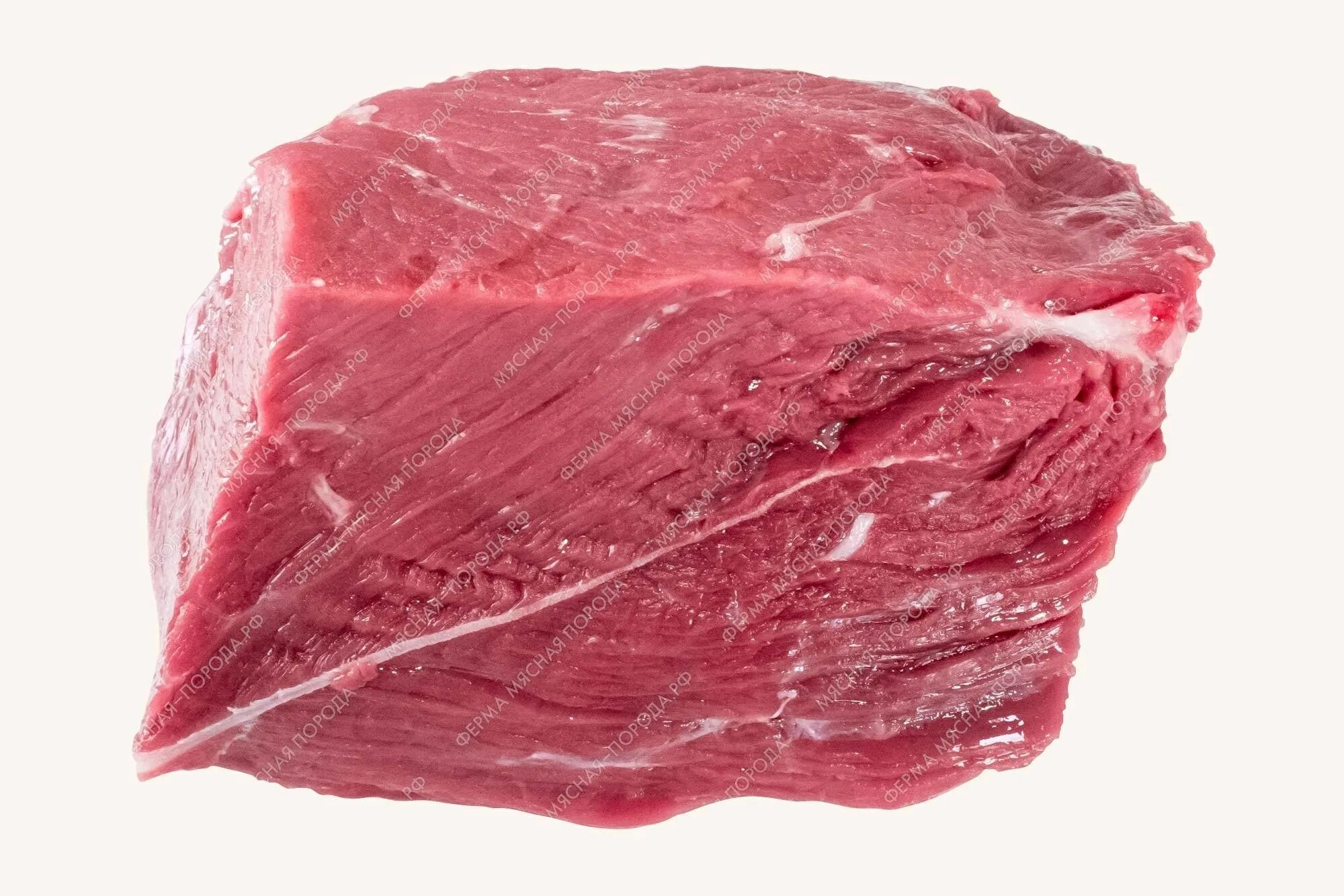 Говядина лопатка без кости Говядина. Продукты питания