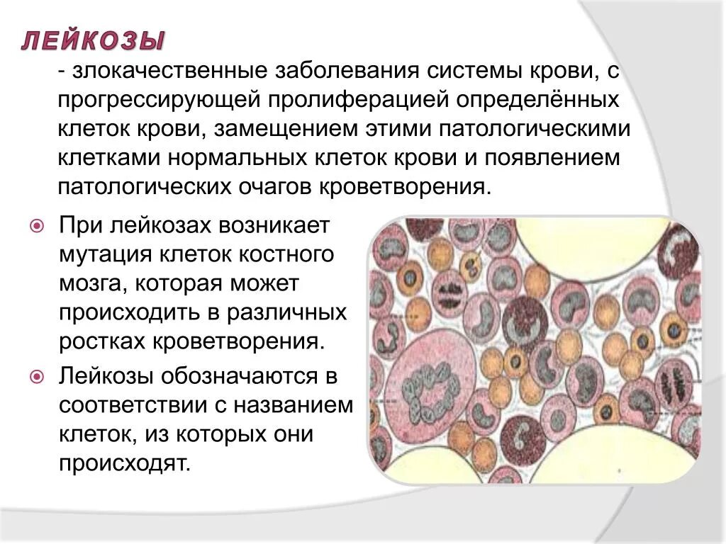 Злокачественные заболевания крови. Болезни системы крови гемобластозы. Нарушение кроветворения при лейкозе.