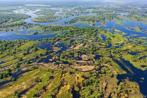Полесская низменность