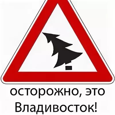 Табличка caution. Табличка осторожно злая собака. Осторожно дерева. Осторожно падают деревья. Что можно сделать из одного дерева.