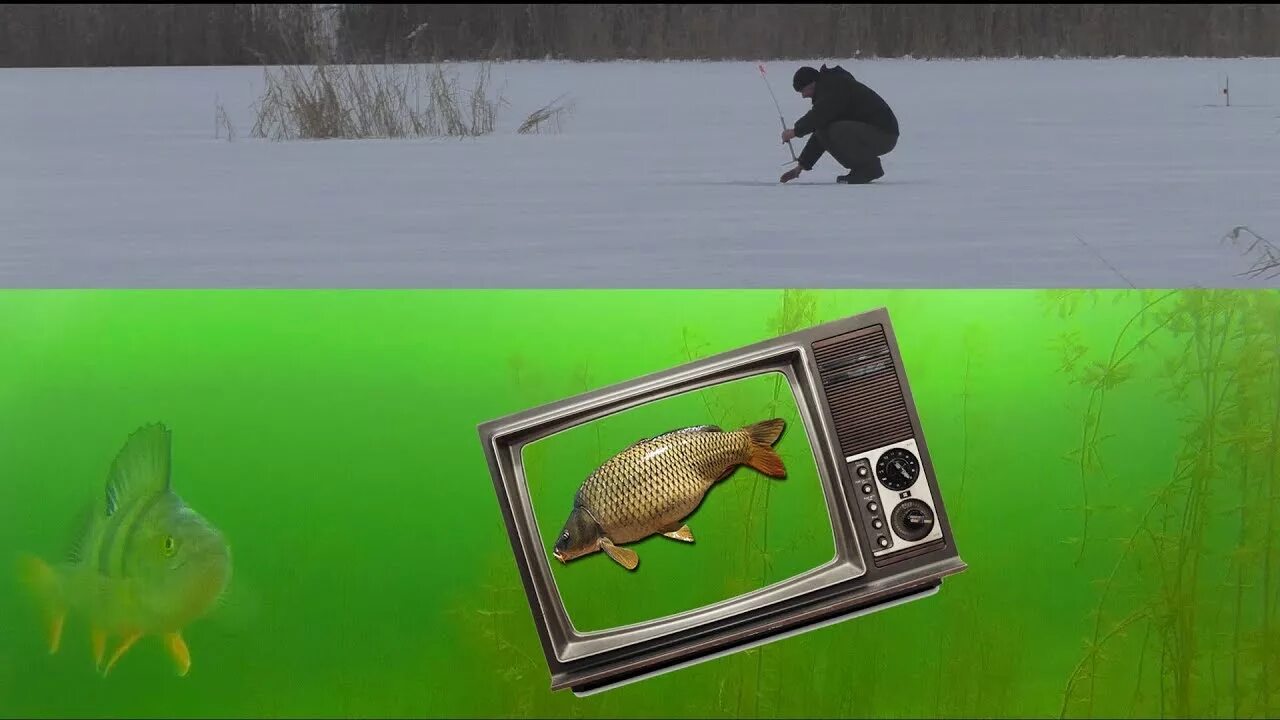 Ловля на телевизор. Телевизор для рыбалки. Телевизор для зимней рыбалки. Телевизор фишинг.
