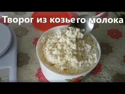 Творог с козьего молока рецепт