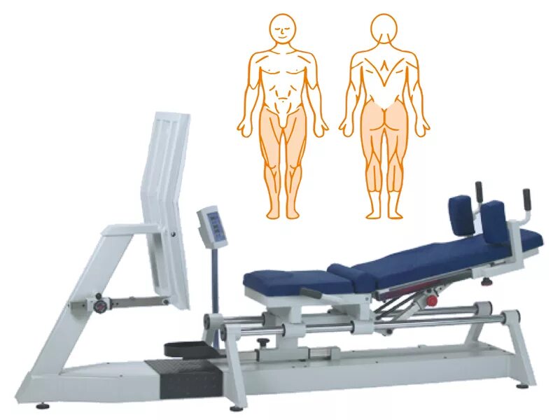Dynamic 1.6. Тренажер «гребля» en-dynamic 2/2 rowing mdd. тренажер абдоминальный en-dynamic 1/5 abdominaltrainer mdd, 2025, нидерланды. реабилитационный тренажер для ног. пневматические тренажеры для реабилитации.