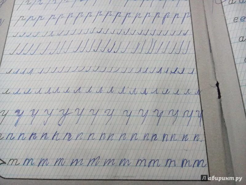 Тренажер по чистописанию 24 страница. Тренажер по чистописанию голубь. тренажёр по чистописанию 6-7 лет. тренажер чистописание 1 класс. тренажёр по чистописанию 1 класс.