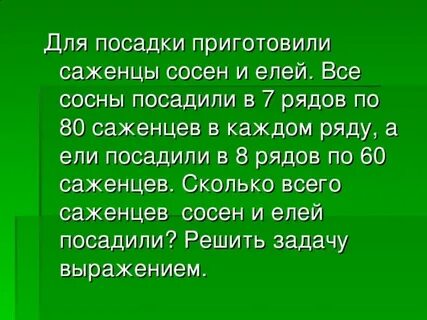 Посадили 4 ряда