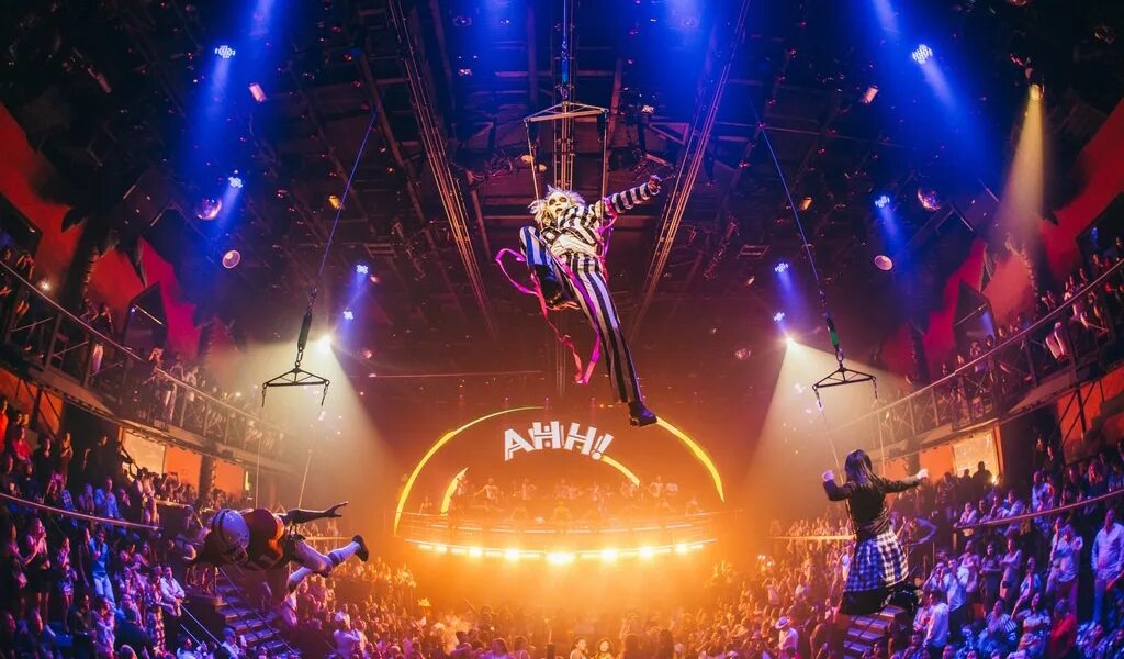 Coco club. Коко бонго мексика. клуб coco bongo доминикана. канкун дискотека коко бонго. дискотека в доминикане coco bongo.