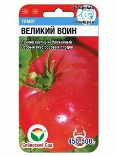Томат великий