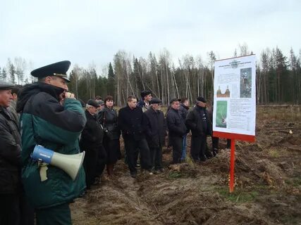 Сайт министерства лесного хозяйства нижегородской