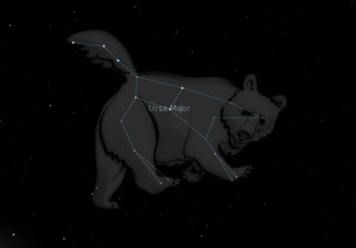 Созвездие зверей. Ursa Major Созвездие. Ursa Major Constellation. Созвездия животные на небе. Созвездия животные и птицы.