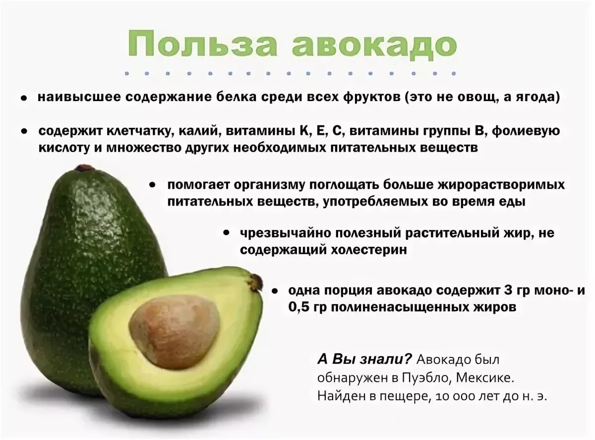 Почему нельзя авокадо. Авокадо польза. Чем полезно авокадо. Чем полезен авокадо. Авокадо полезно для организма.
