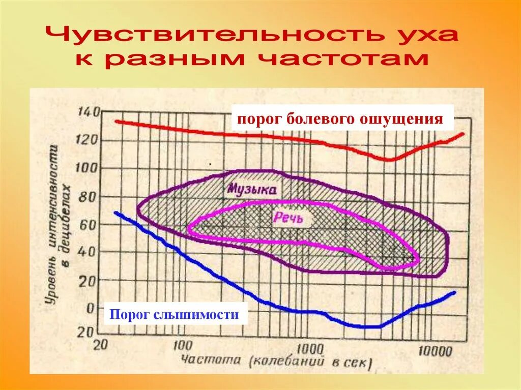 Наибольшая чувствительность уха