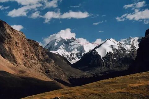 Жапон порносы өте көп