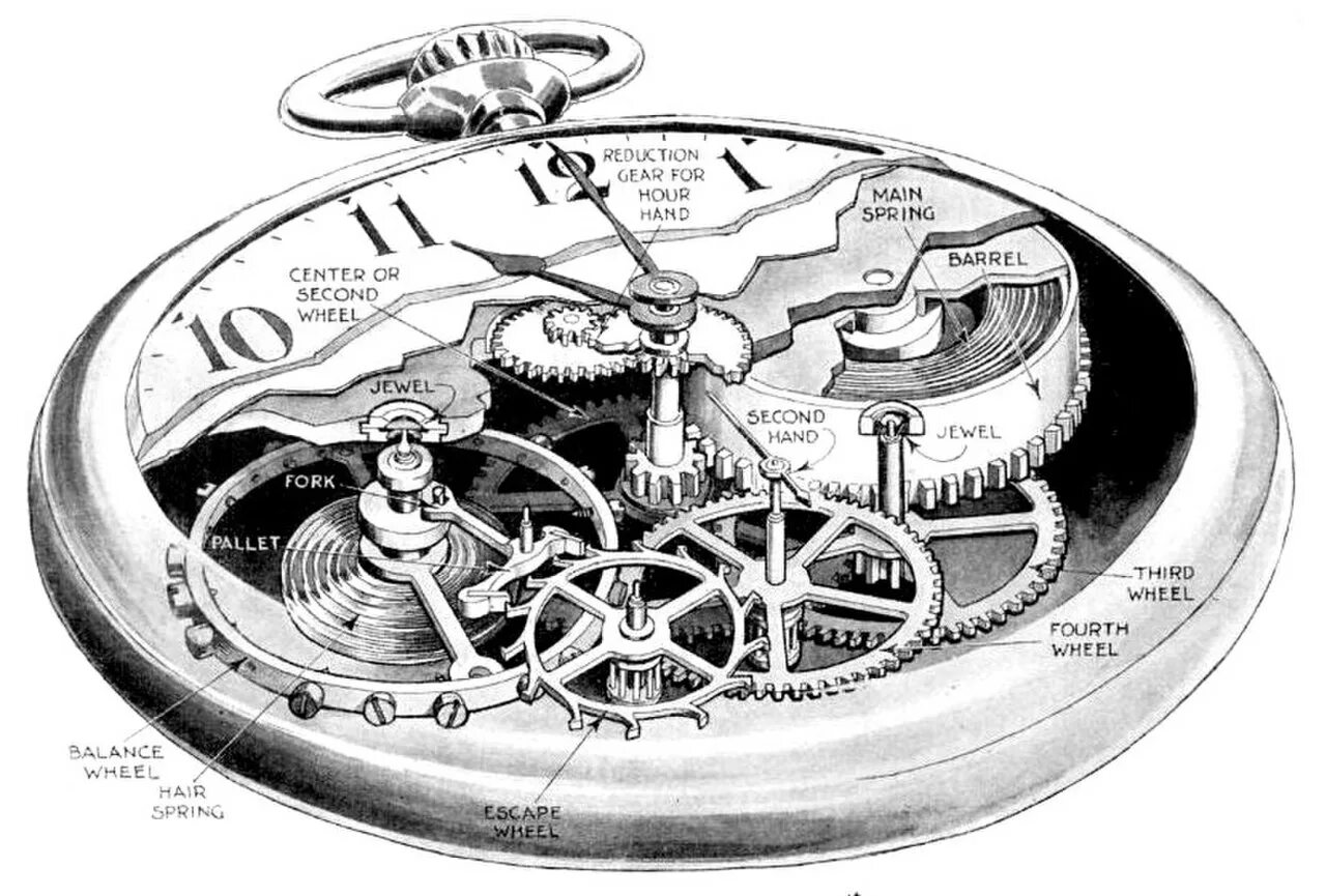 Часовое движение. Часовой механизм чертеж. Механические карманные часы набросок. Чертеж карманных часов. Механические часы чб.