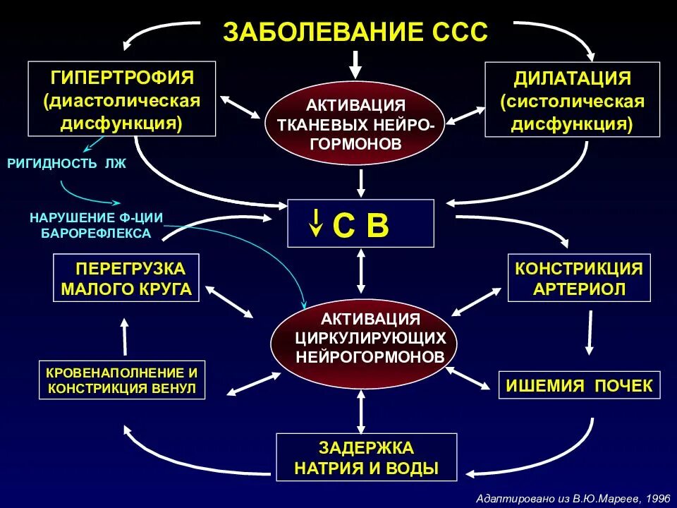 Дисфункция гормонов. Диастолическая сердечная недостаточность патогенез. Функциональные нарушения сердечно-сосудистой системы. Функциональные расстройства ССС. Систолическая сердечная недостаточность патогенез.