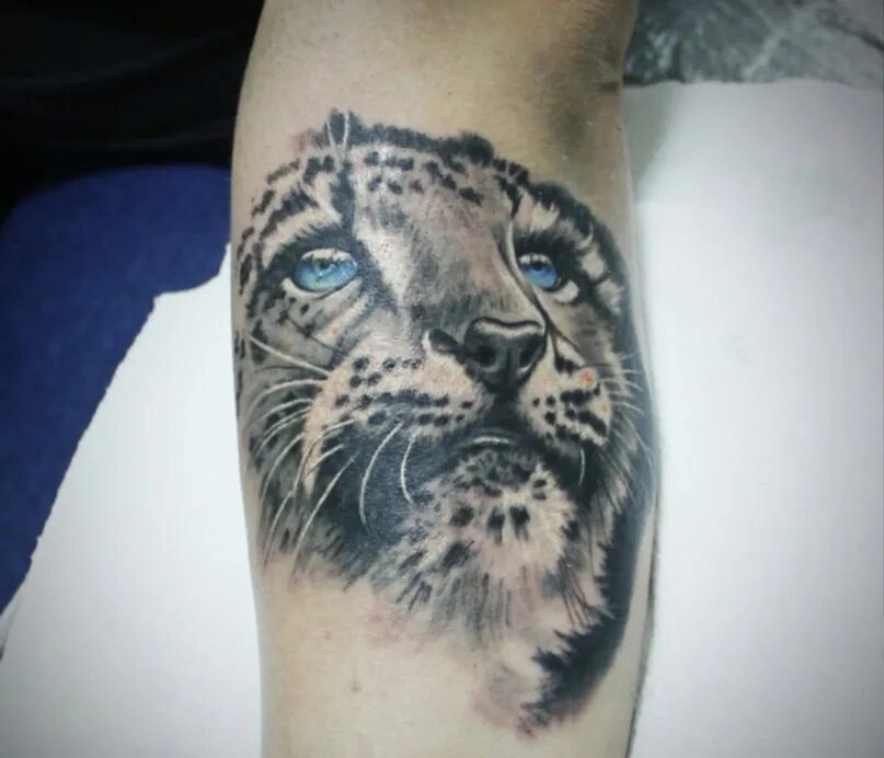 Тату ирбис. Тату ирбис. Ирбис снежный тату. Барс тату эскизы. Татуировка снежный барс.