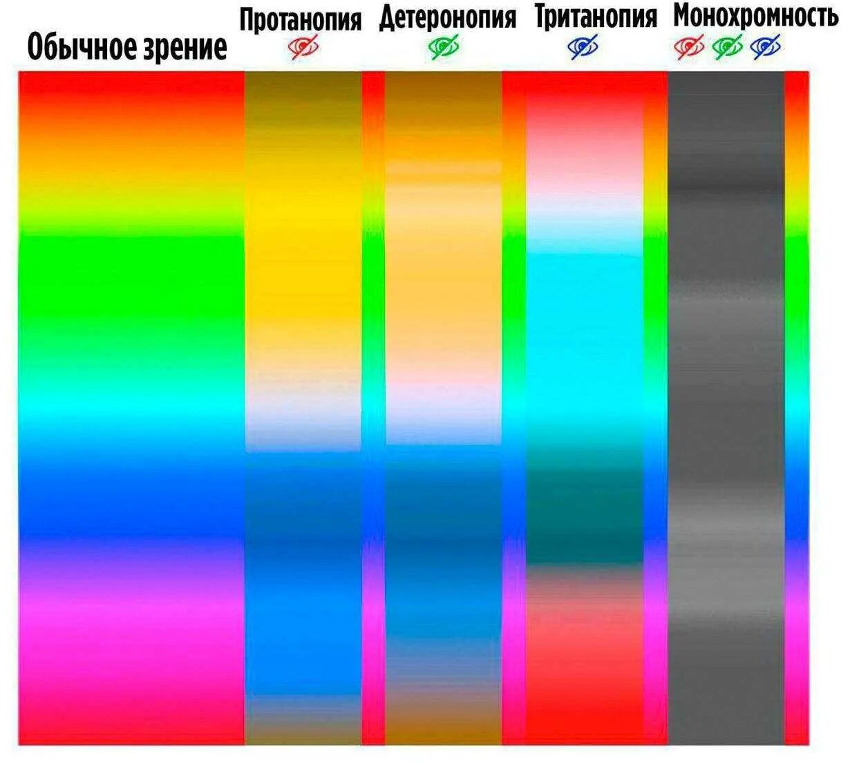 Человек который не видит цвета. Как видят дальтоники. цветовая палитра для дальтоников. как видят дальтоники цвета. зрение дальтоника.