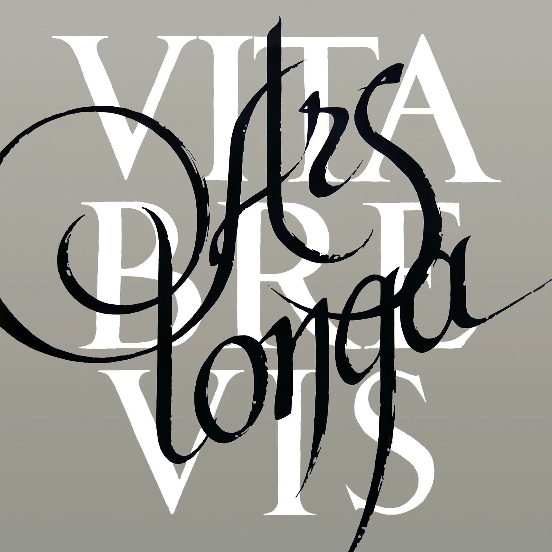 ARS longa Vita Brevis каллиграфия. Шрифт композиция. Композиция из двух шрифтов. Brevis est