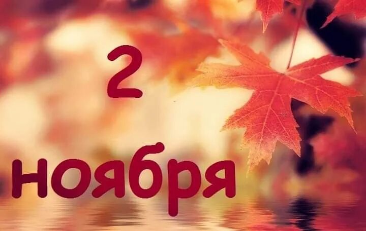 Какой день будет 2 ноября. 2 ноября. дата 2 ноября. 2 ноября праздник. праздник мутных глаз 2 ноября.