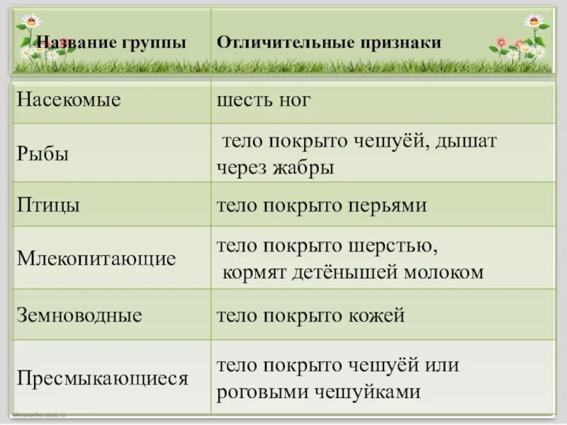 Особенности групп насекомые. Признаки насекомых. Насекомые признаки группы. Характерные признаки насекомых. Отличительные признаки класса насекомые.