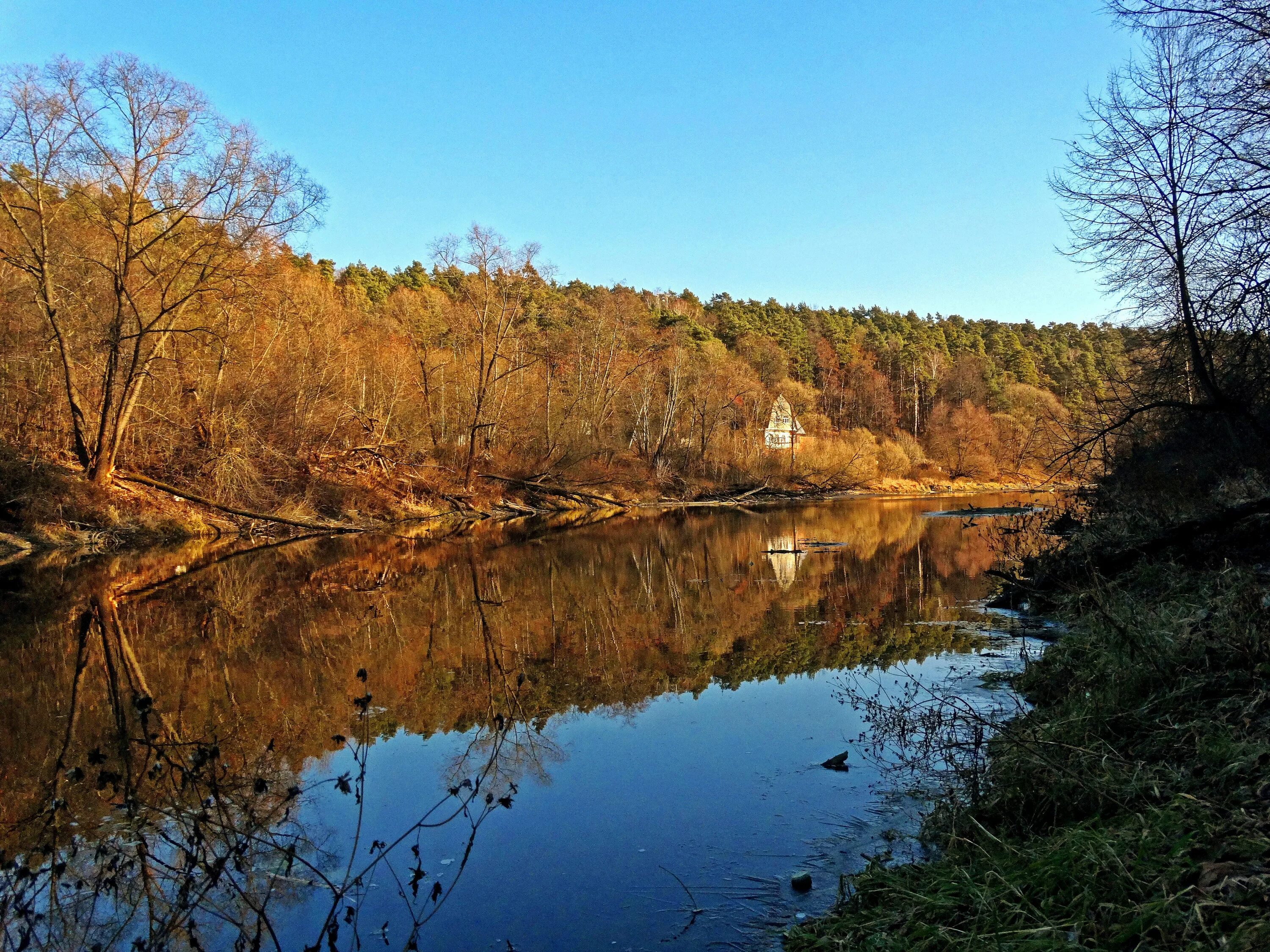 Река Яхрома. Яхрома природа. Река Десна Московская область. Десна Подольский район. Таежный десна