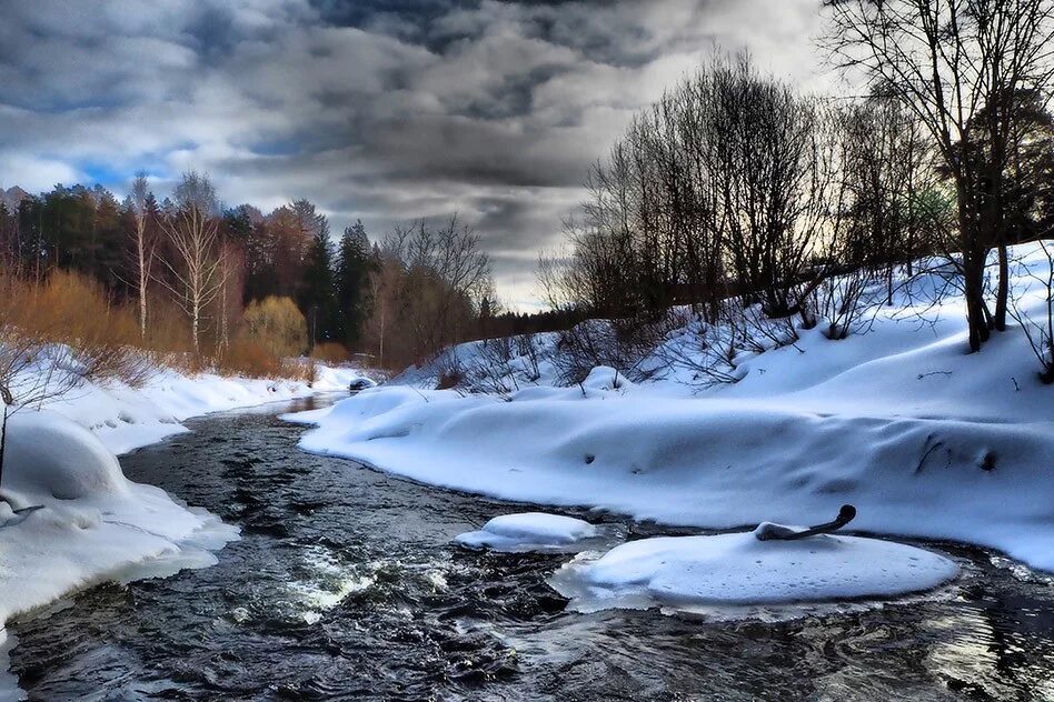 наступила весна. первоцвет крокус в снегу. приход весны. подснежники эдельвейсы. подснежники оленьи ручьи.