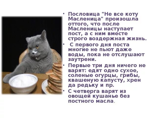 Основная мысль текста про кота. Не всё коту Масленица. Коту Масленица поговорка. Пословица про кота и Масленицу. Не все коту пословица.