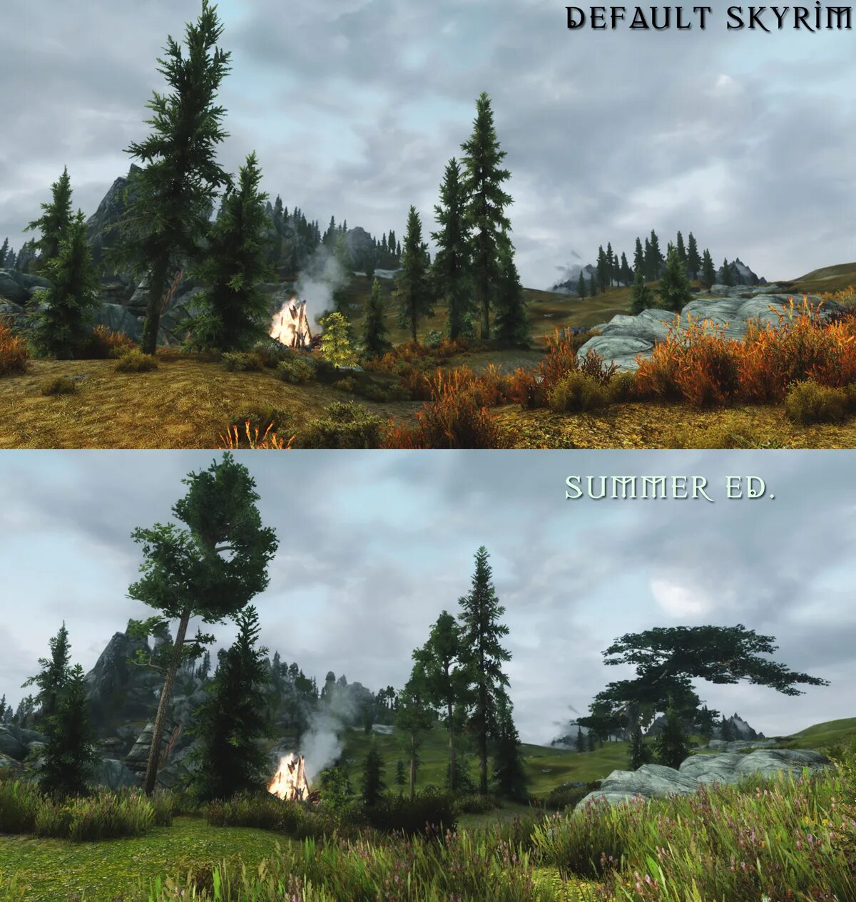 Skyrim se flora. Skyrim flora overhaul. скайрим flora overhaul le. flora overhaul для skyrim se. скайрим мод на новую флору.