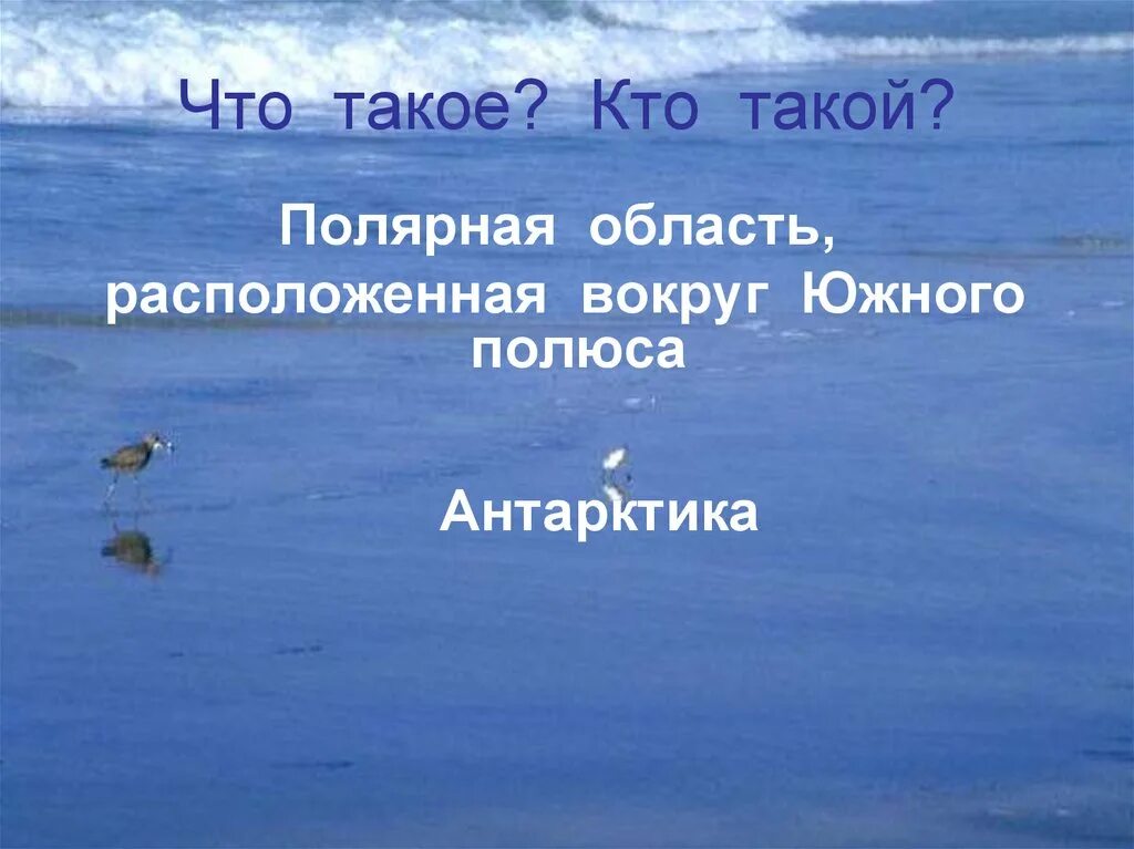 Доклад от южной до полярного края. Полярные области. Антарктика Южная Полярная область. Полярная область расположенная вокруг Южного полюса Антарктиды. Презентация от южных полей до полярного края.