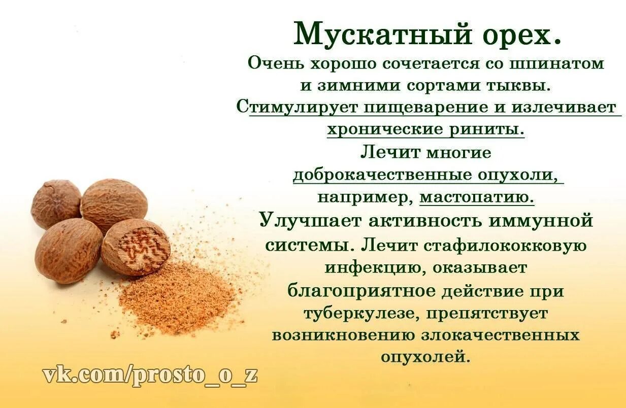 Мускатный орех. Чем полезен мускатный орех. Мускатный орех для чего полезен. Мускатный орех характеристика.