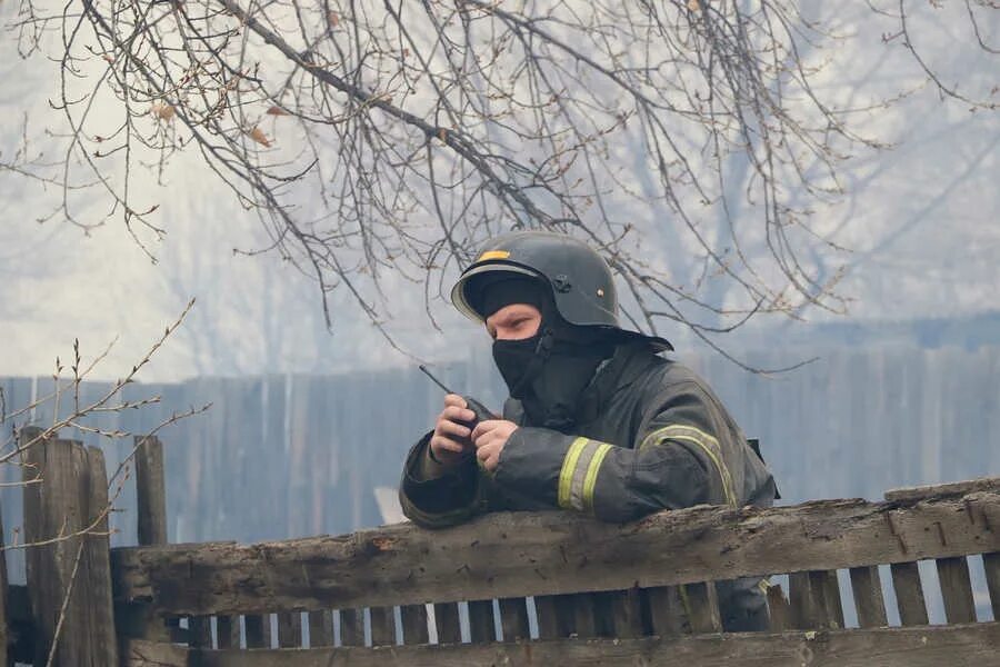 Чистый пал. Палы в Хакасии. Думад палы. Пал Боран в пал ворлд. Заготовка пал.