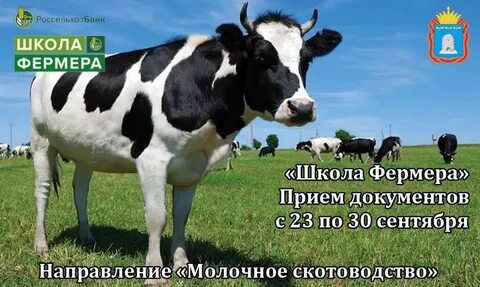 Корова википедия