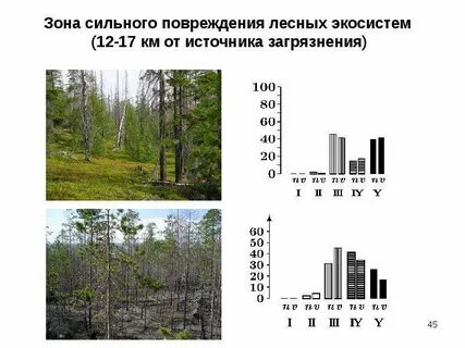 Зоны экосистемы
