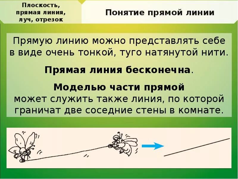 Характеристика прямой линии. Плоскость прямая луч. линия прямая части прямой. отрезок на прямой линии. прямая линия бесконечна.