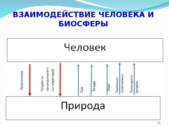 Взаимодействие человека и биосферы. Взаимосвязь биосферы и человека схема. Схема человек часть биосферы. Взаимодействие человека и биосферы схема. Как я осознаю себя частью биосферы